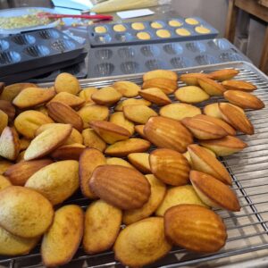 NOUVEAU! Madeleines