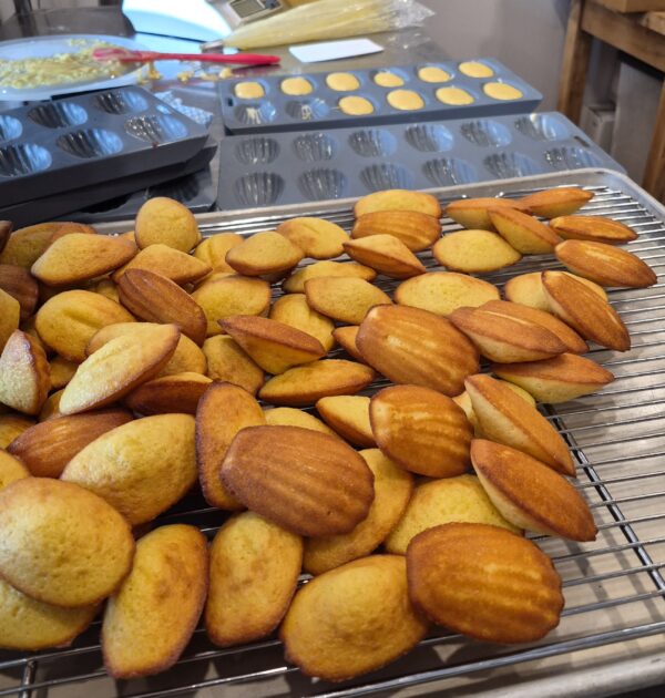 NOUVEAU! Madeleines